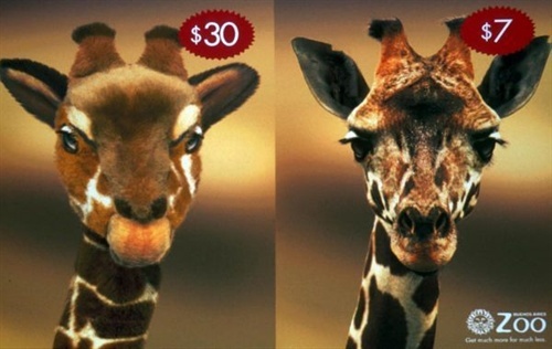 创意营销法,你见过最厉害的营销套路