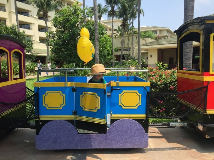 全家去三亚过年攻略,全家去三亚自驾过年攻略