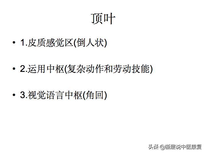 中枢神经系统断层解剖讲解,中枢神经3d解剖动画
