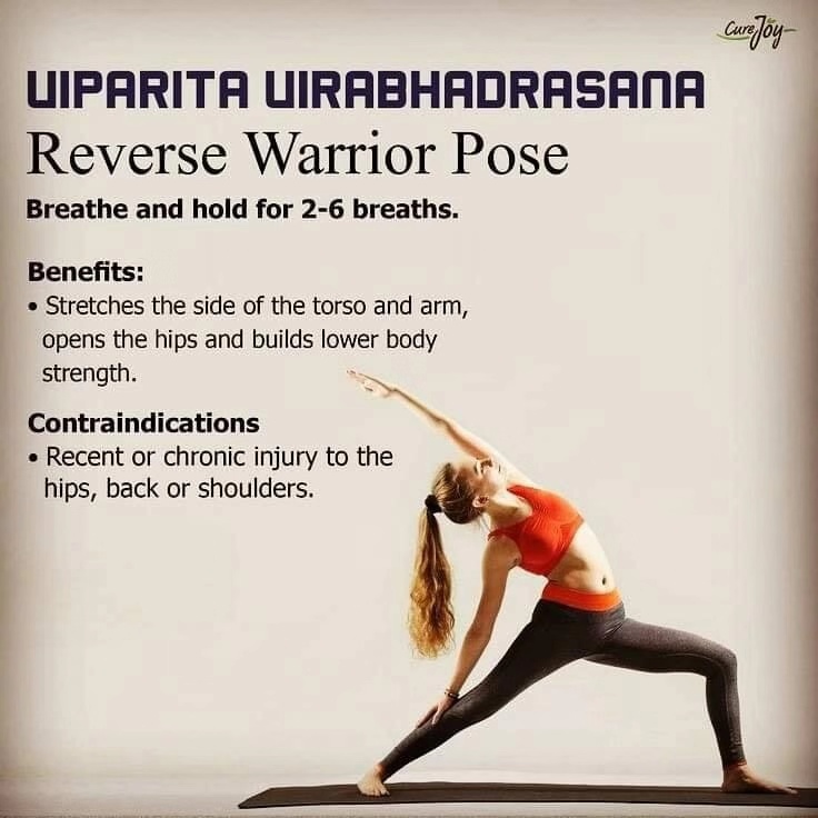 不让夏天赶跑的脂肪溜回来/瑜伽全身能量流动练习保持活力