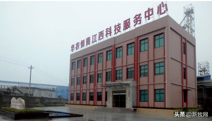 中原农保助力生猪行业稳产保供,助力春耕高质量增产量