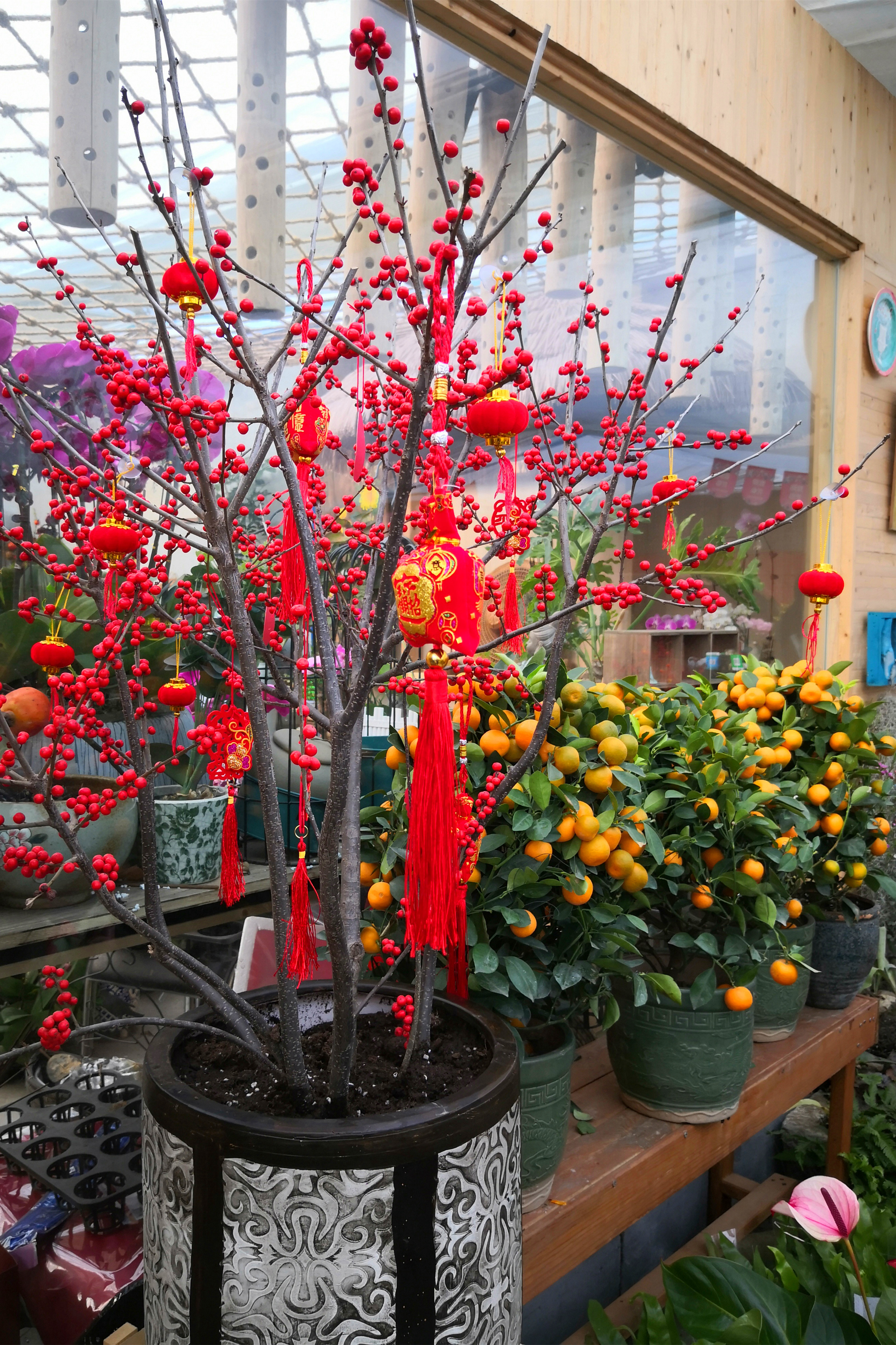 东营最大的花卉批发市场在哪里,东营地区哪里有花卉市场