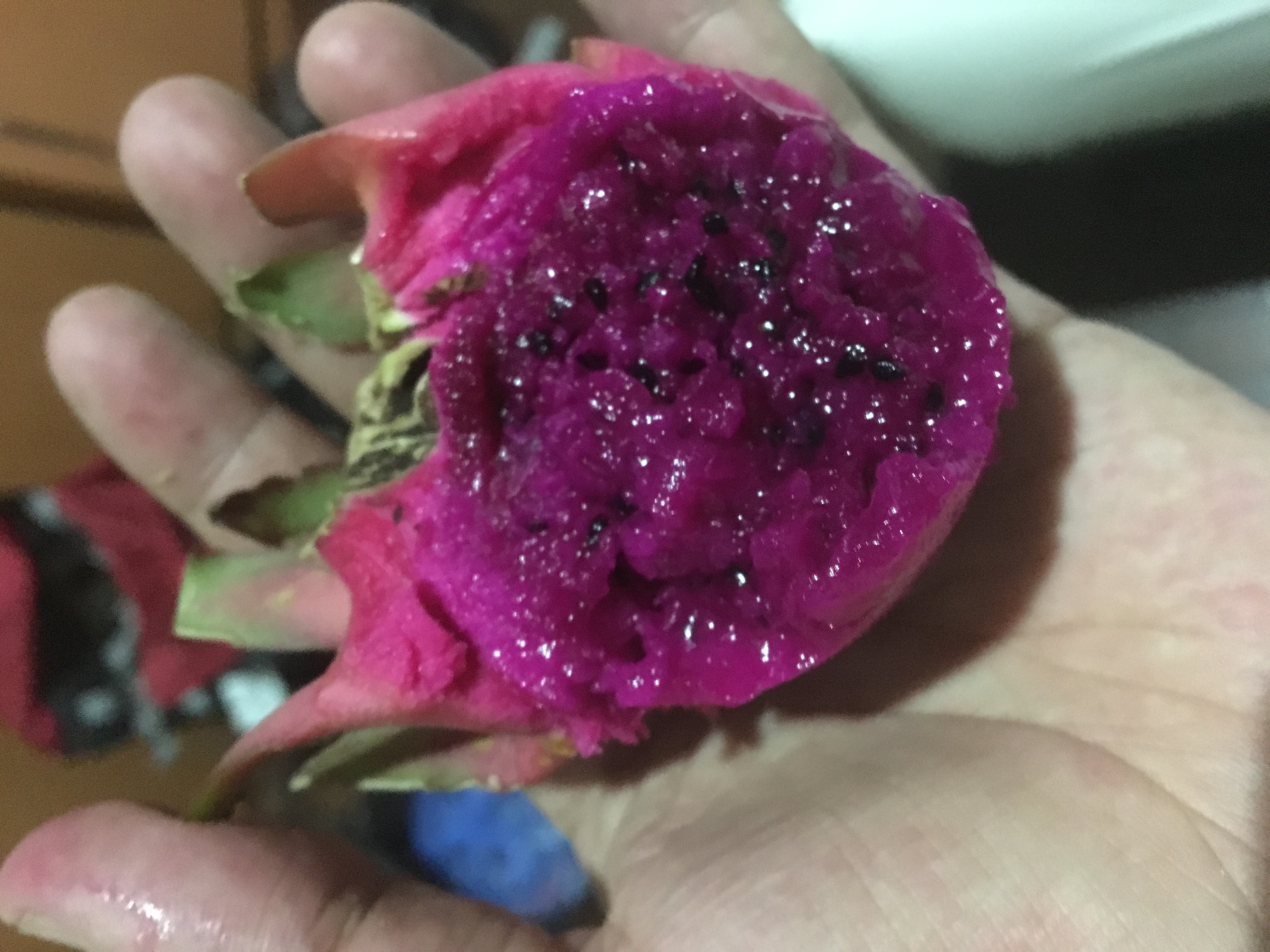 印度尼西亚吃喝玩乐,印度尼西亚旅游吃饭好不好吃