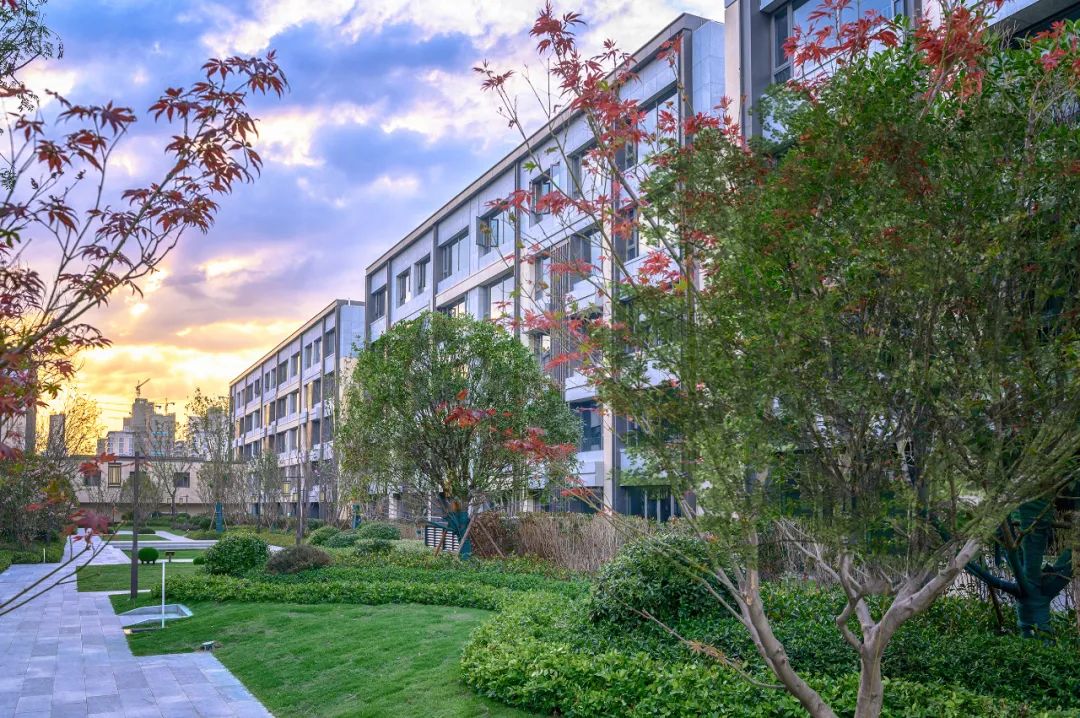 滨湖网红大平层,滨湖新区新盘