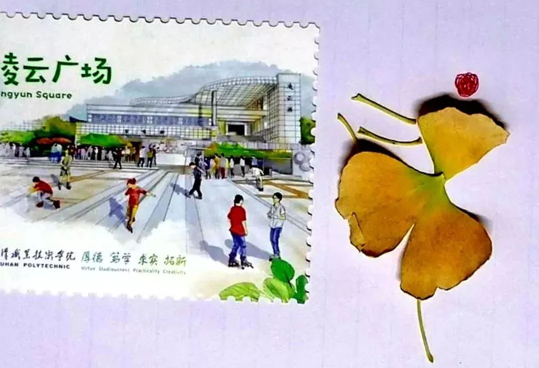 武汉职业技术学院校园风采,武汉职业技术学院风景