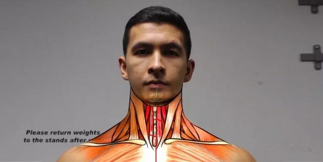 矫正颈部前伸最简单有效的方法,颈部前伸怎么矫正