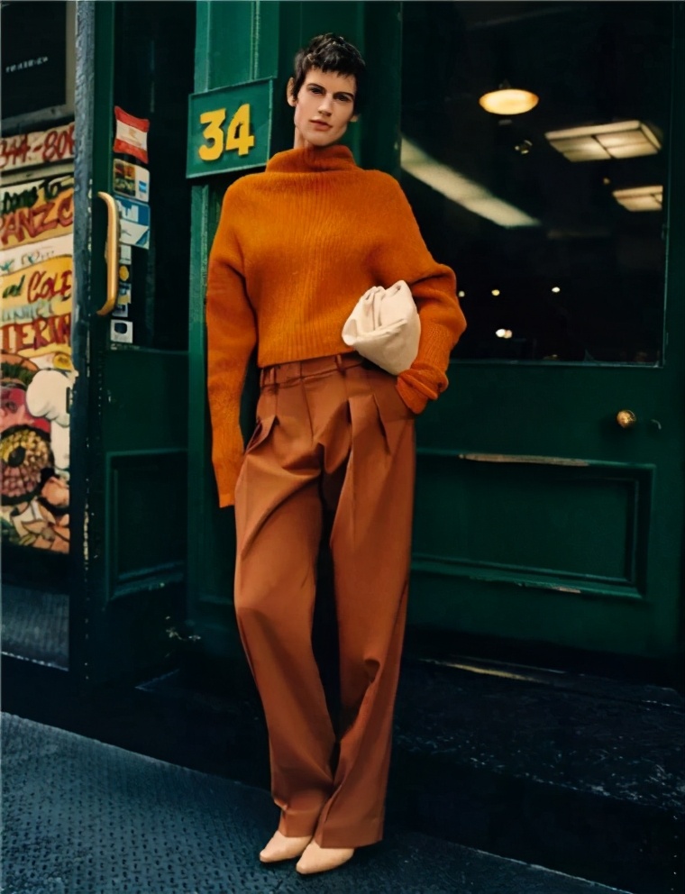 栗棕色和棕色哪个更适合鹅蛋脸,不同底色的棕色