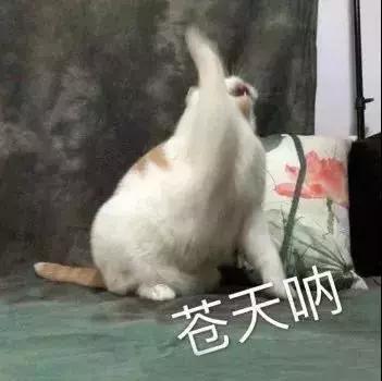 直男审美被吐槽上热搜,直男对女生的吐槽