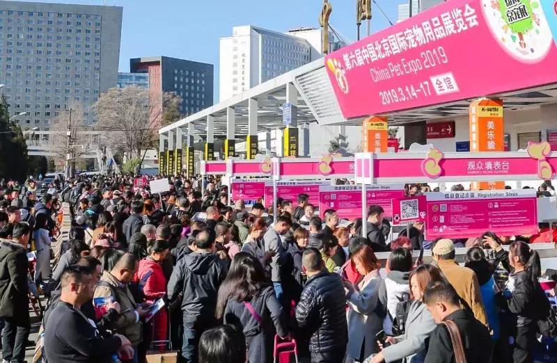 宠物经济背后的真实故事,宠物经济现状大爆发