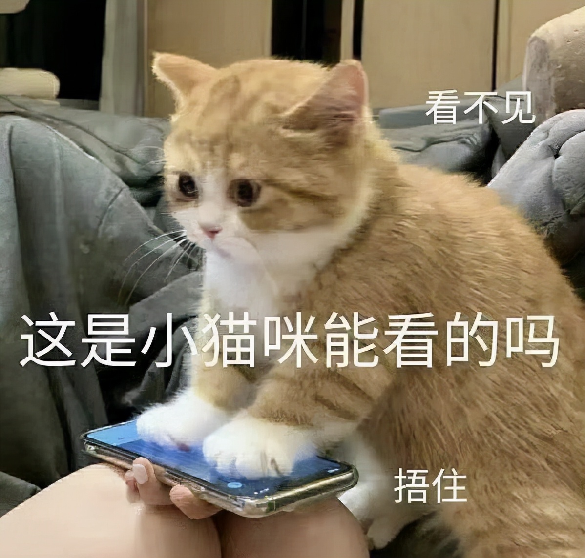 这一刀太狠了,这一刀太狠了原版