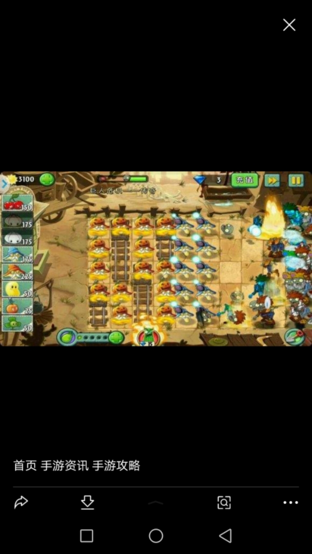 植物大战僵尸2cp,植物大战僵尸2龙舌兰cp