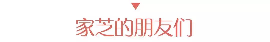 如何鉴定餐饮骗局真假,网红餐厅真实案例