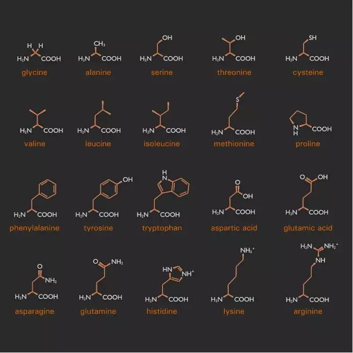 为什么不买保健品呢,该不该买保健品