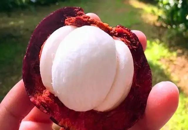 挑选山竹的3种小诀窍介绍,挑选山竹的小秘诀