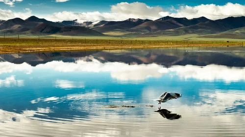 李白写出了大唐盛世,李白描写大唐盛世繁华的句子