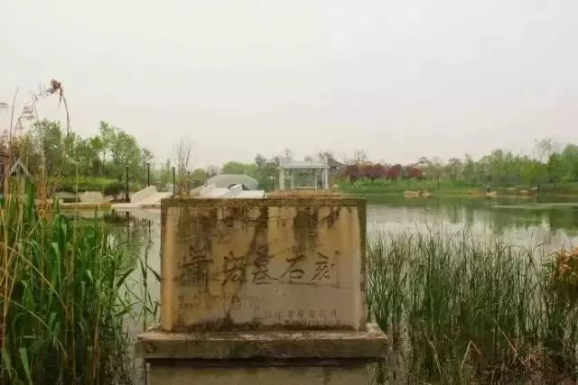 南京有哪些免费公园,南京象山湖公园免费攻略