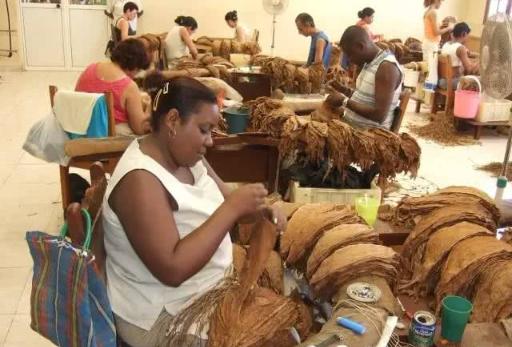 古巴雪茄为什么这么贵,古巴雪茄为什么贵