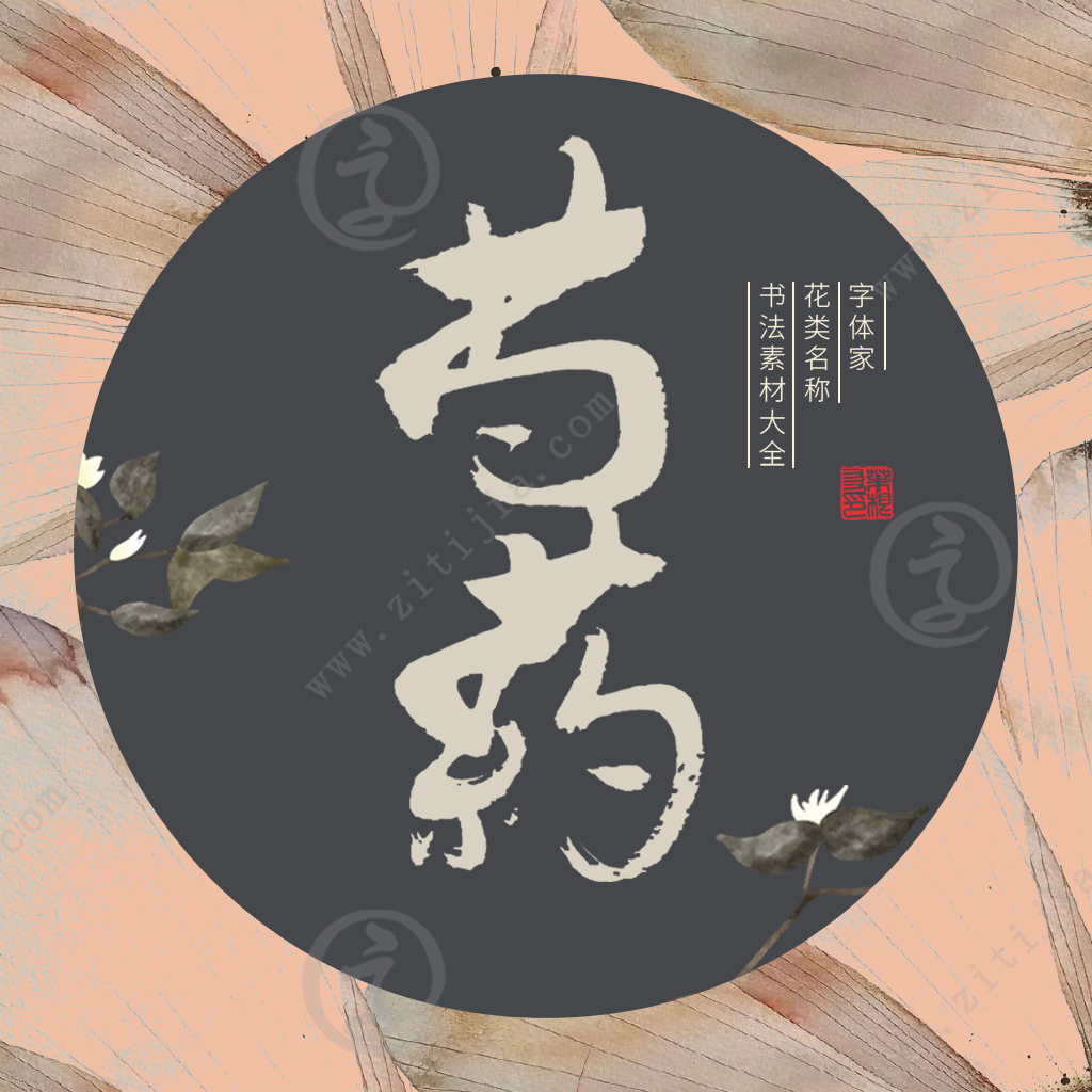 勿忘草玫瑰,勿忘草和玫瑰