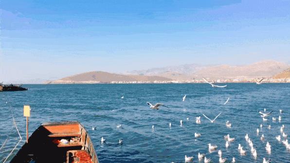 璇氬搧璁捐,璇氬搧寤虹瓚璁捐