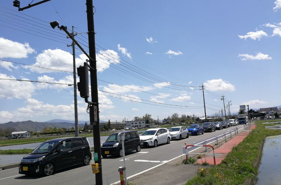 一周狼狈吃了两根山葵的人，终于去了安昙野大王山葵农场