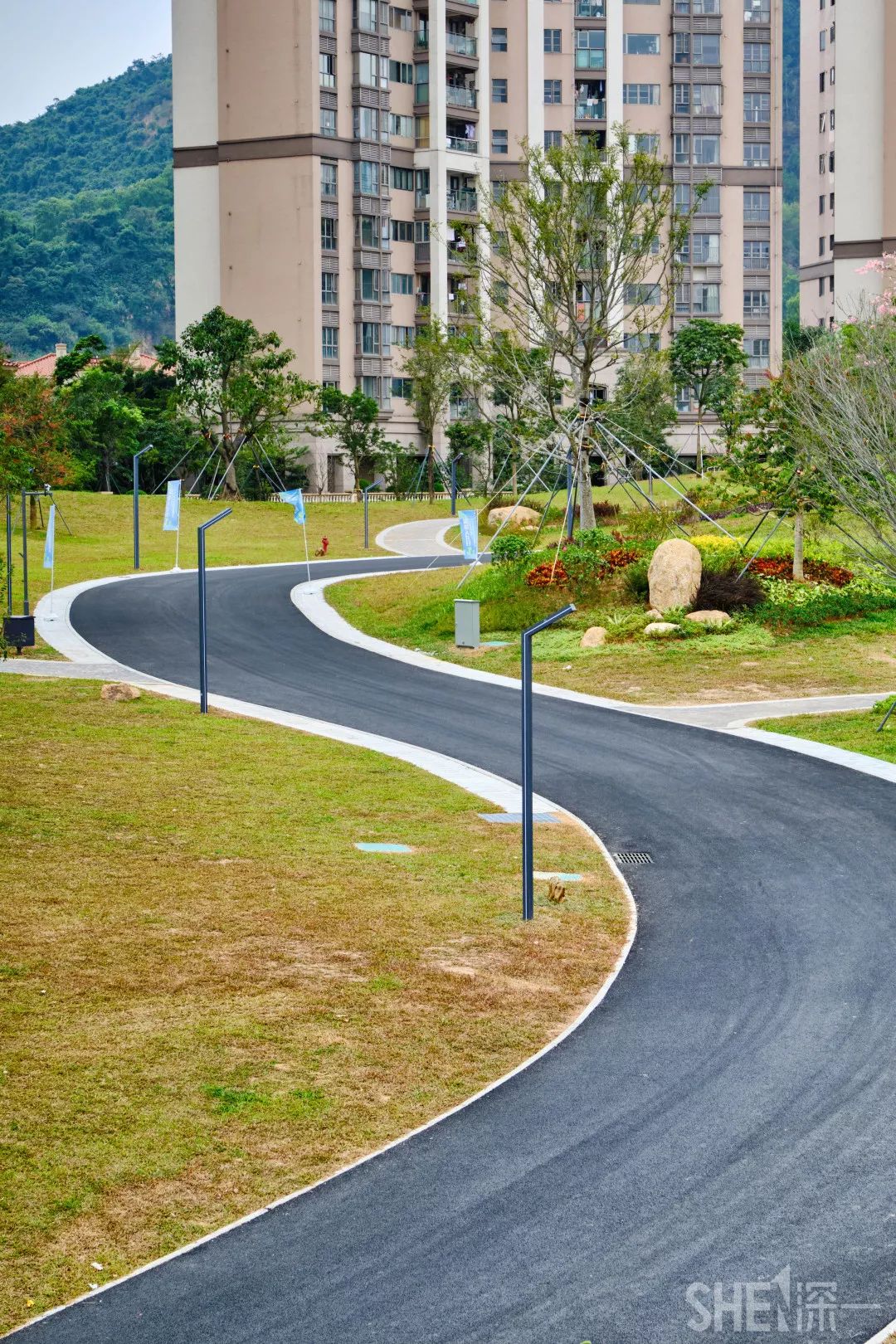 深圳龙华公园对外开放了吗,深圳市龙华新开的公园