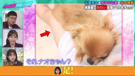 岛国撩汉指南.avi