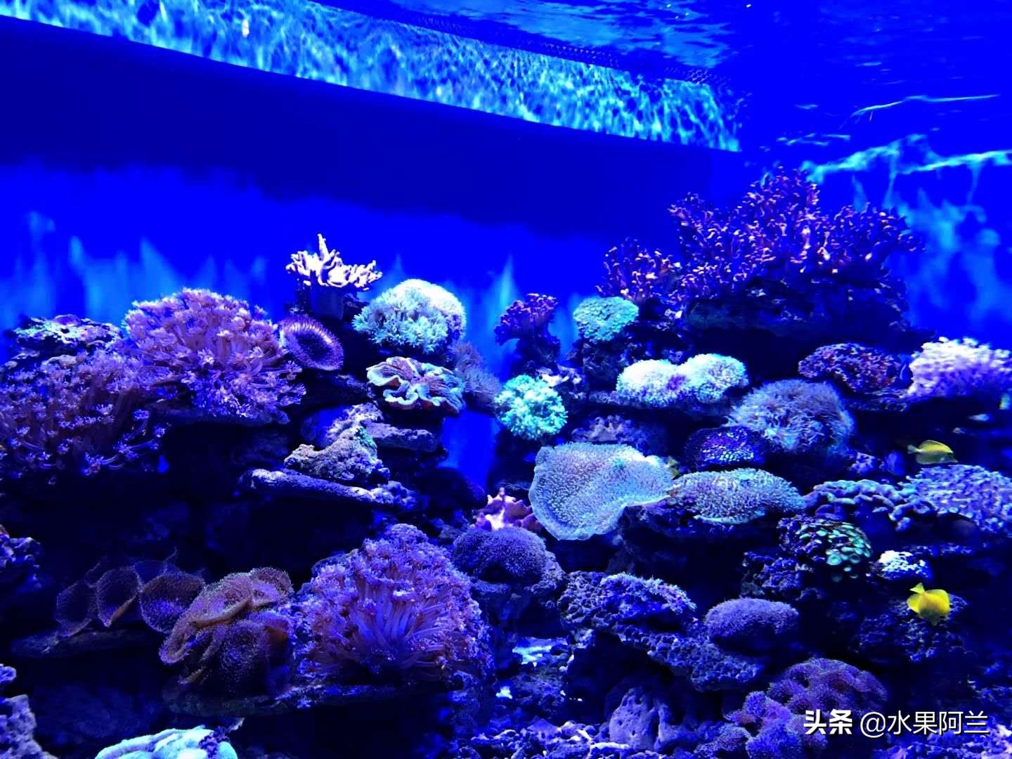 大连旅游团4天三晚,大连4天3晚跟团自由行