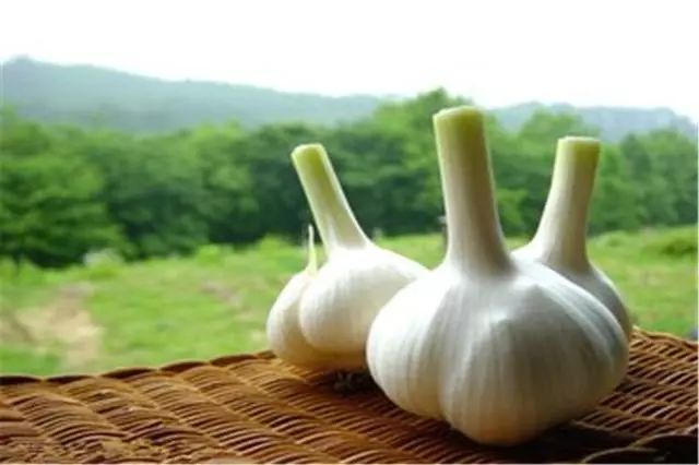 饮水机里的水有异味怎么办,饮水机时间长了有塑料味怎样去味