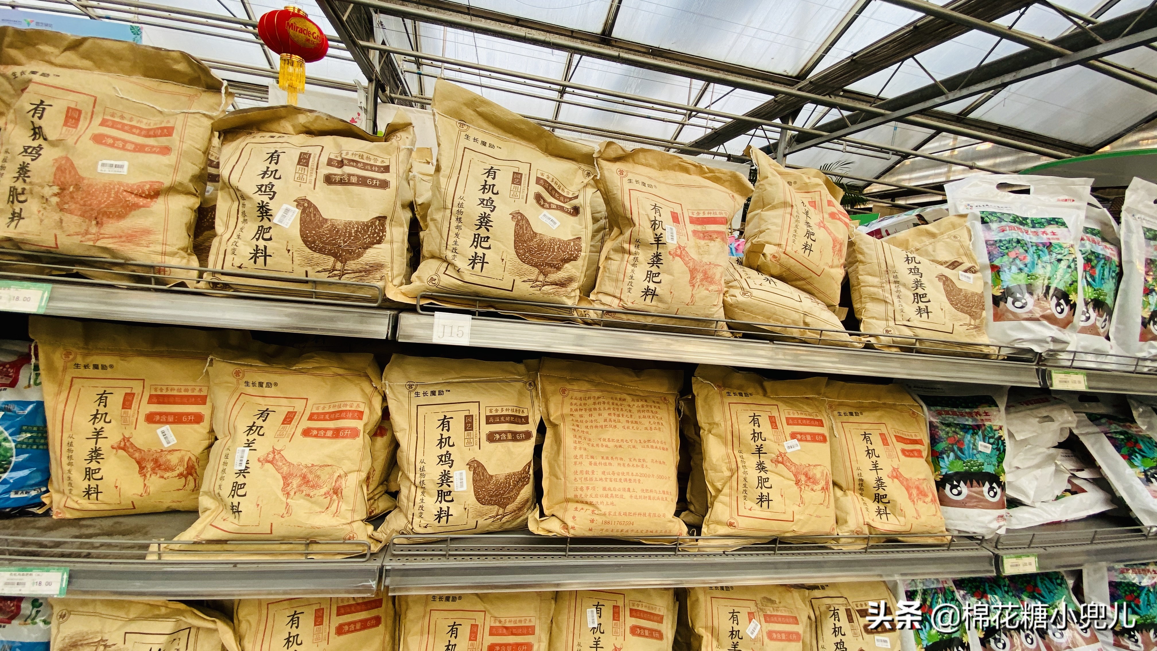 北京最大花卉绿植市场,北京最便宜绿植花卉市场