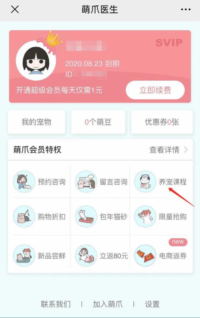 足不出户就能在线治猫病,24小时猫病在线咨询
