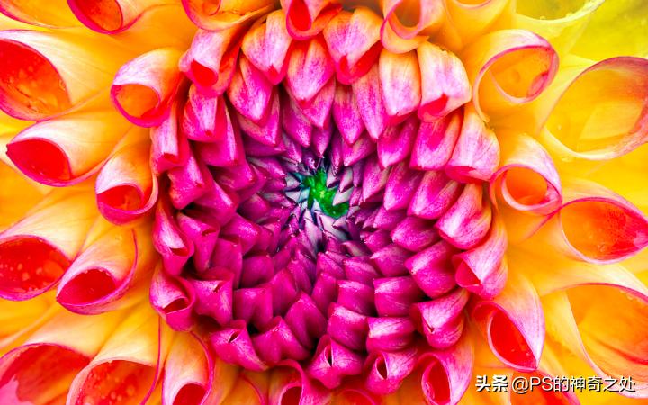 ps鎬庝箞閫変腑钂欑増,ps钂欒鐗堟湁鍝簺