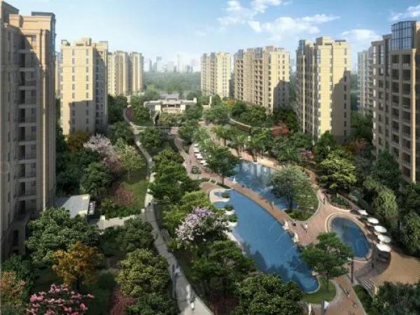 浦东唐镇学区怎么样,唐镇学区怎么样