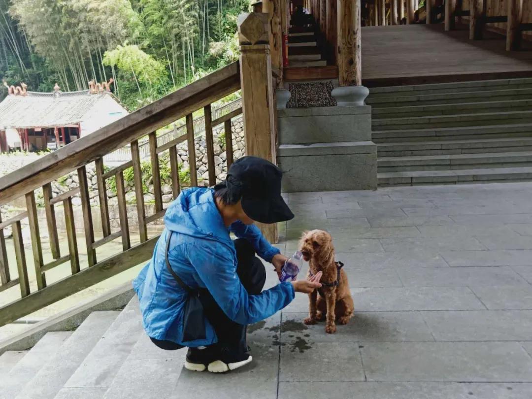 我要去旅行英文,我要去旅行完整版