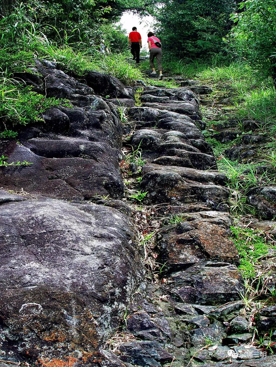 中国绿都最氧的三明将乐,中国绿都最氧三明康养之旅