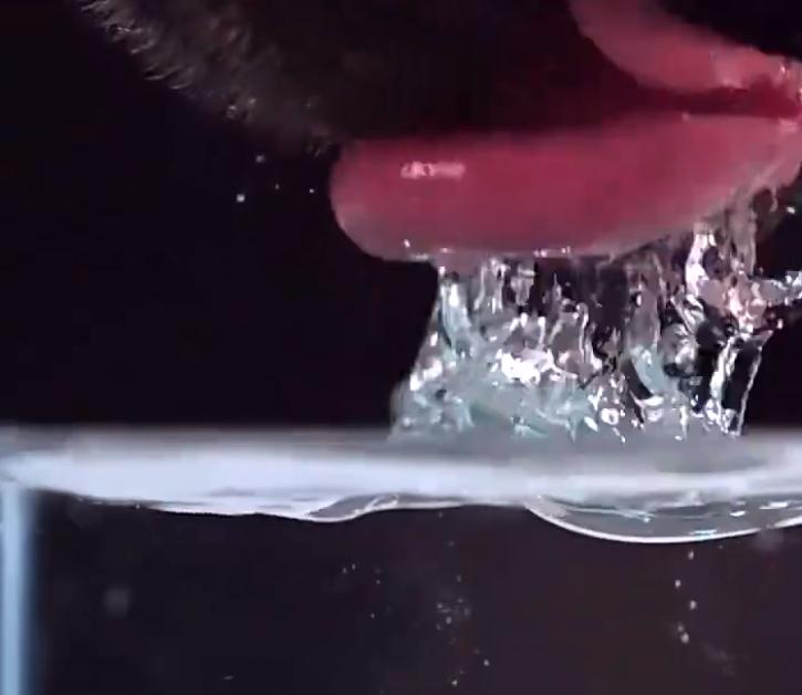 狗狗不是舔着喝水，姿势有难度，“万能”舌头，令人惊叹