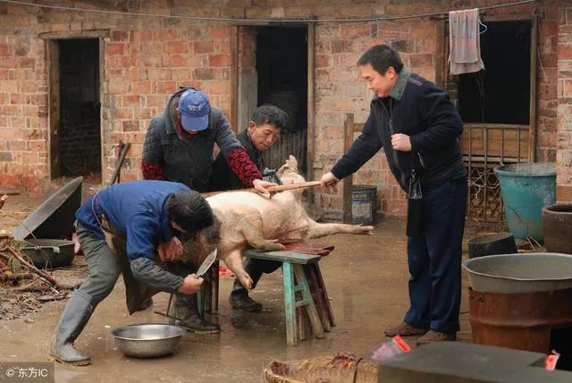 吹猪手艺视频教程,杀猪匠做法