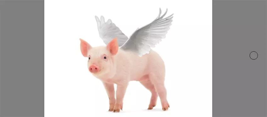 ps小猪怎么做,ps怎么合成驴子