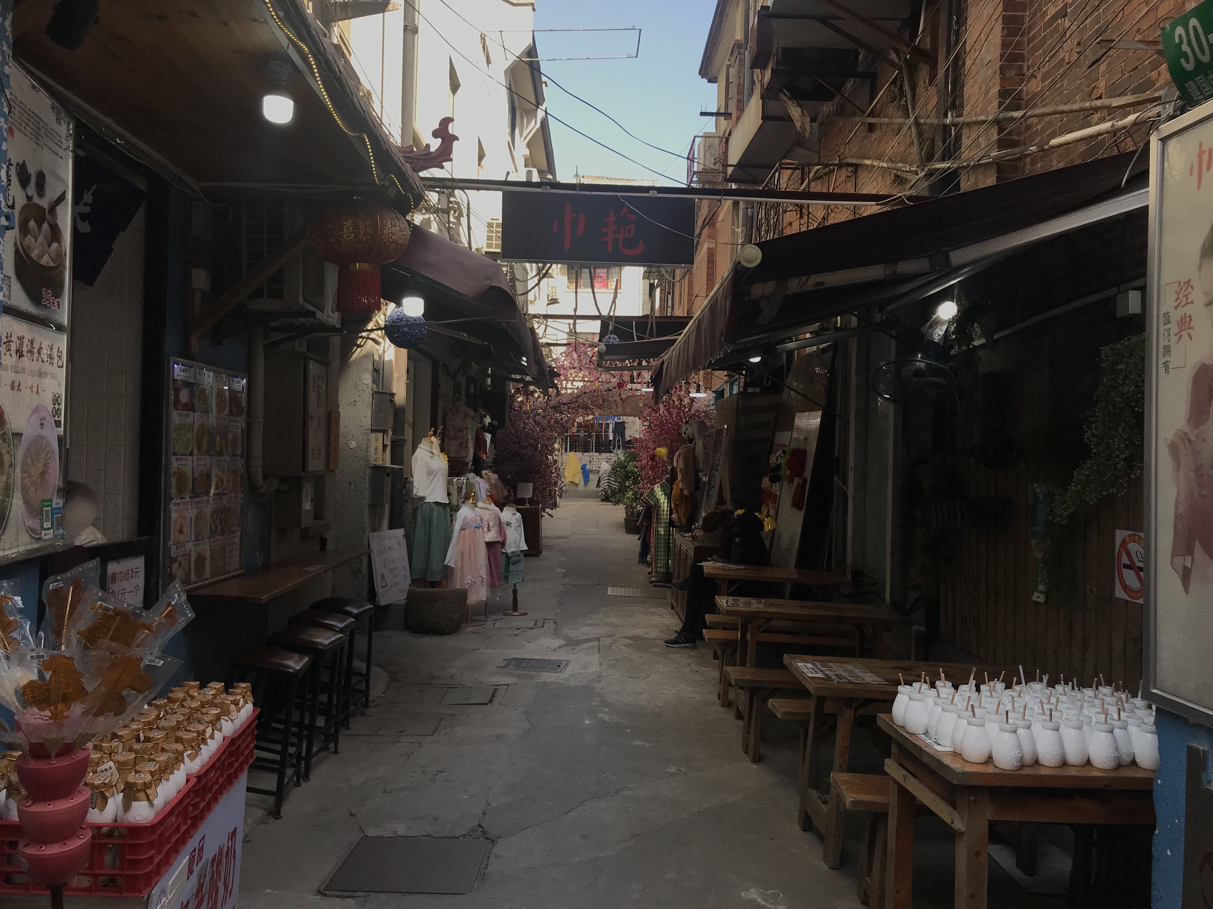 上海的春天视频,上海的春天美景