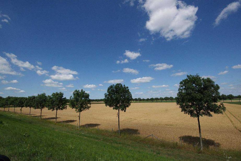 他们利用天时、地利等有利条件，走上了致富的道路