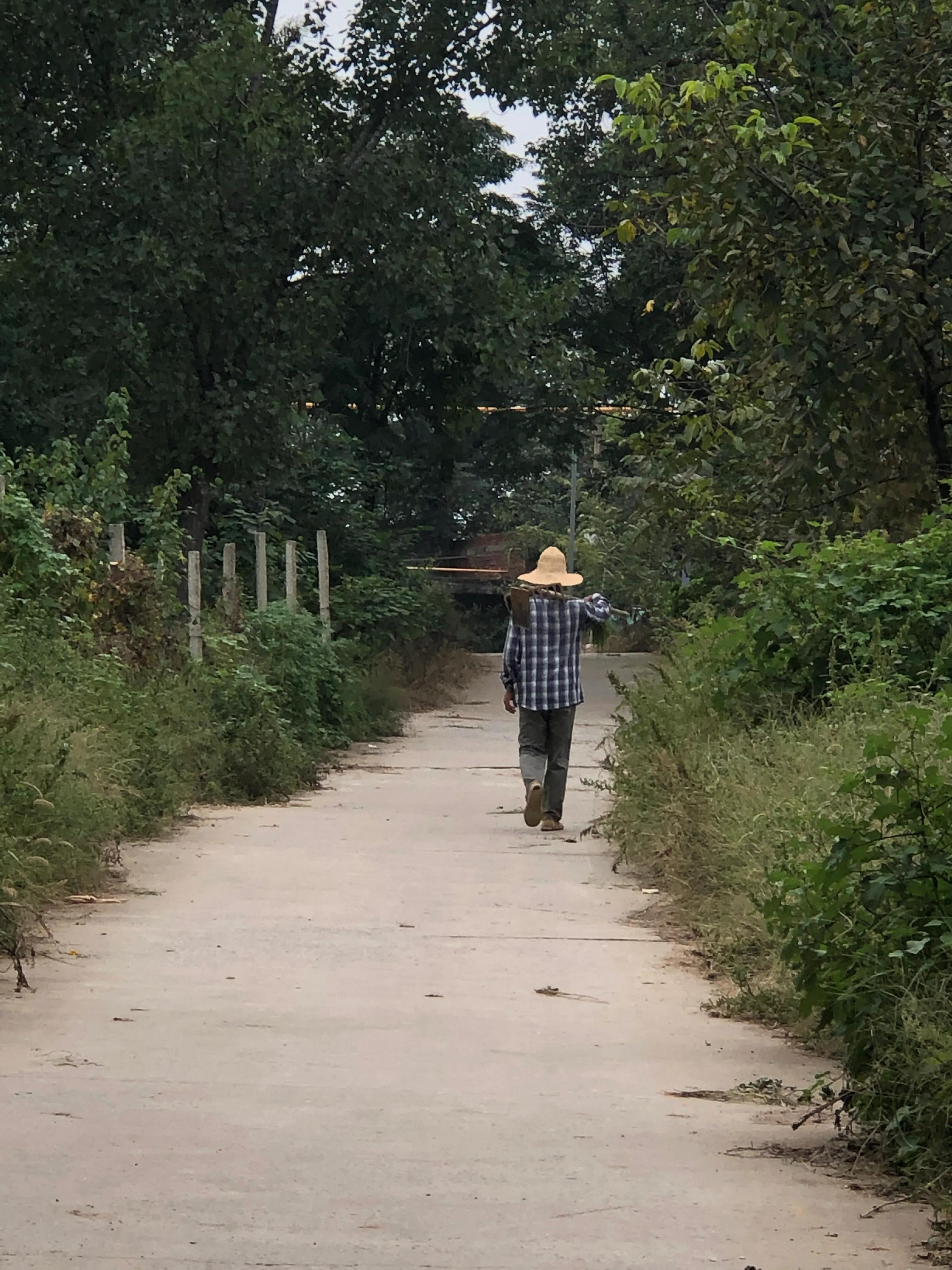 河南洛阳万安山,洛阳远眺万安山