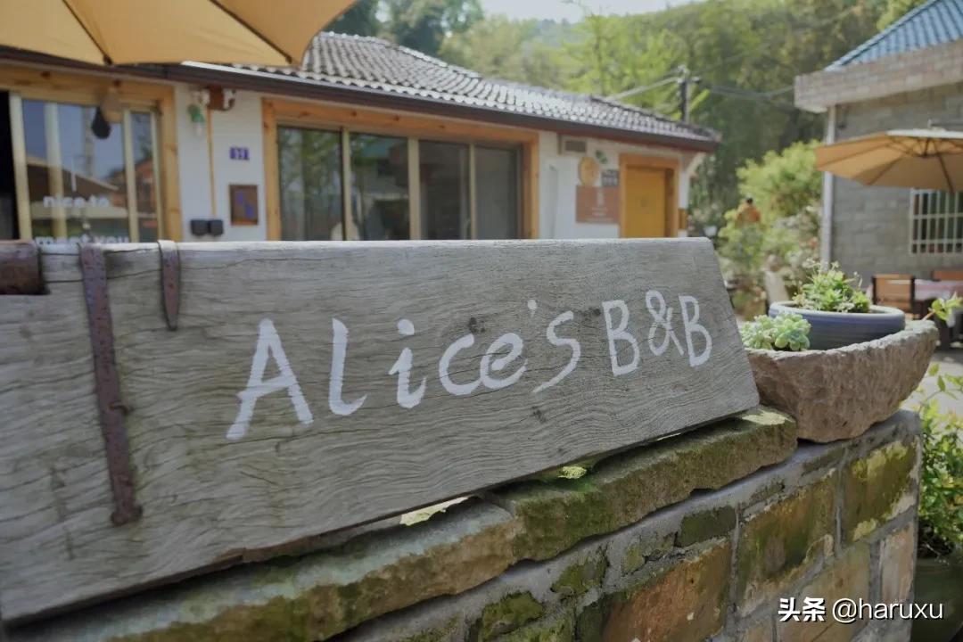 国庆必打卡小众咖啡厅推荐,适合夏天打卡的咖啡馆推荐