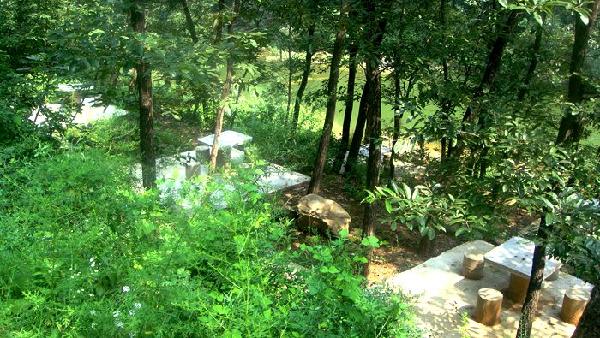 陕州区神泉中路金泉大酒店,陕州区神龙峡景区