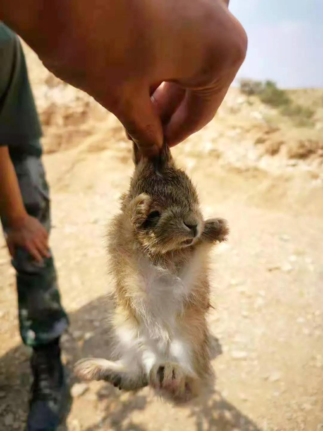 青铜峡中国军人,青铜峡黄河大峡谷军人免费吗