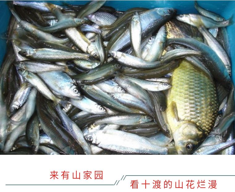 北京郊游去的民宿,北京郊游民宿