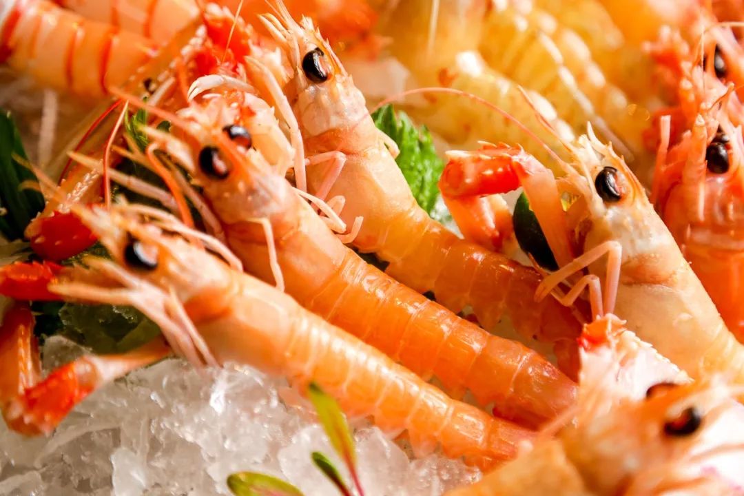 吃海鲜龙虾帝王蟹自助,海胆海鳌虾自助