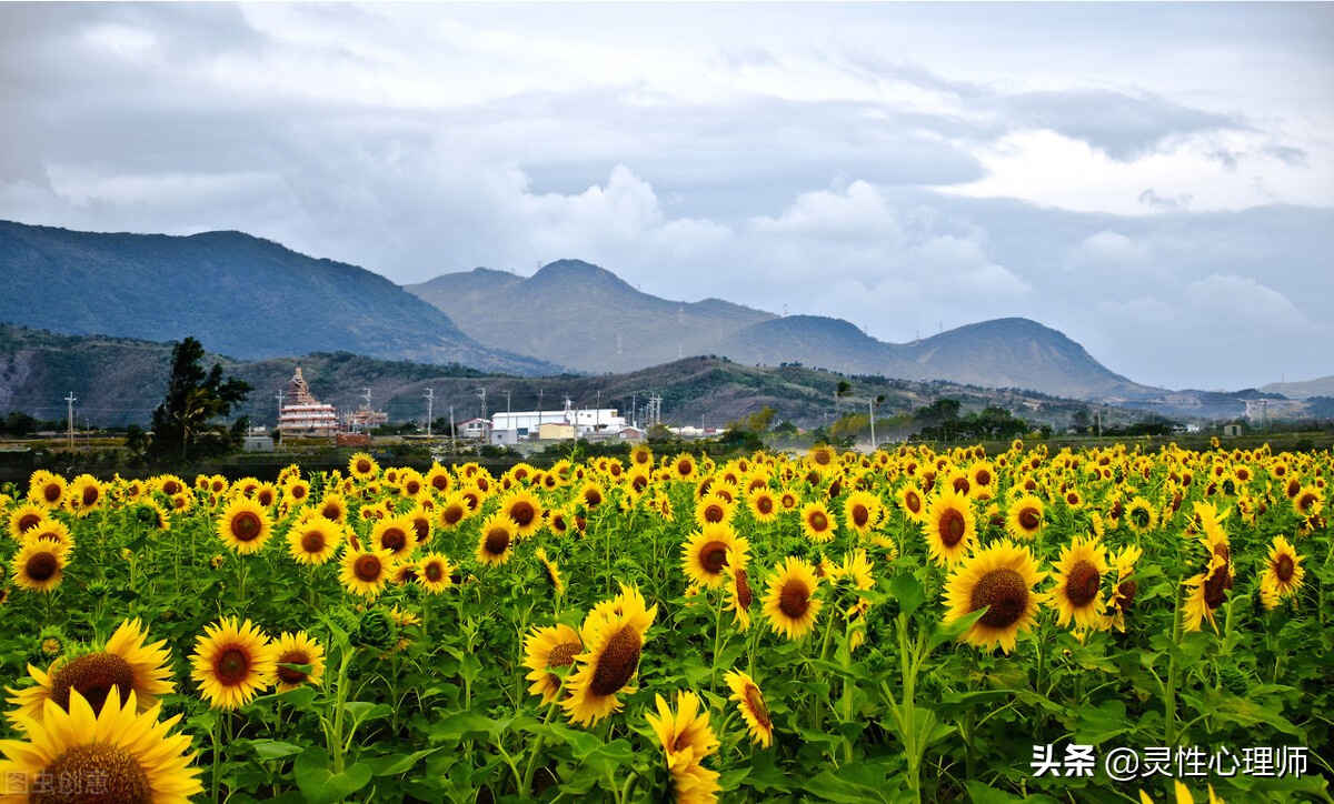 心理学和佛学交叉概念,心理学与佛学的融合