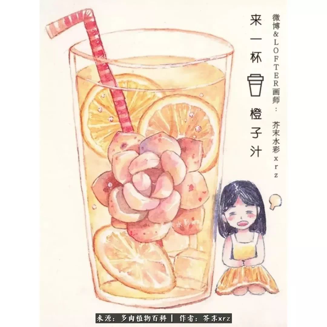 那个爱画多肉的小姑娘带着她的心头肉又来啦!