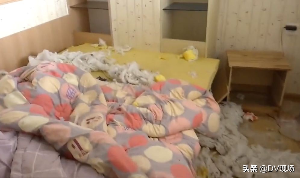 租房小伙退租后惊呆房东,房东收房租时见惊人一幕