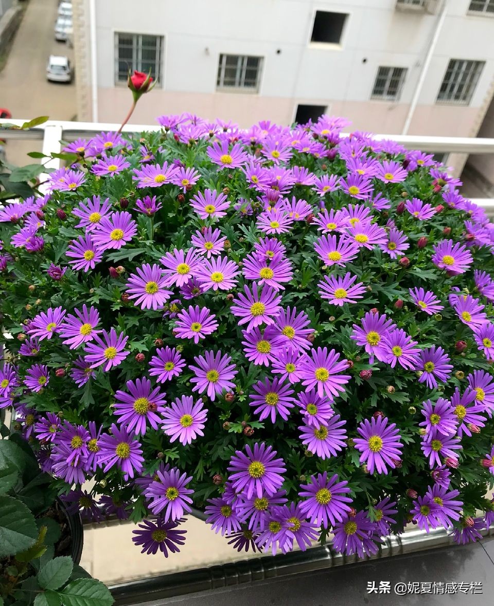 一封丈夫出轨的信,一封关于出轨的信