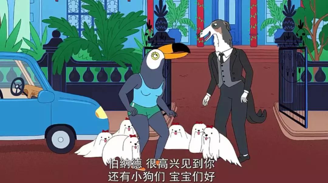 五星安利这部脑洞奇大的成人动画